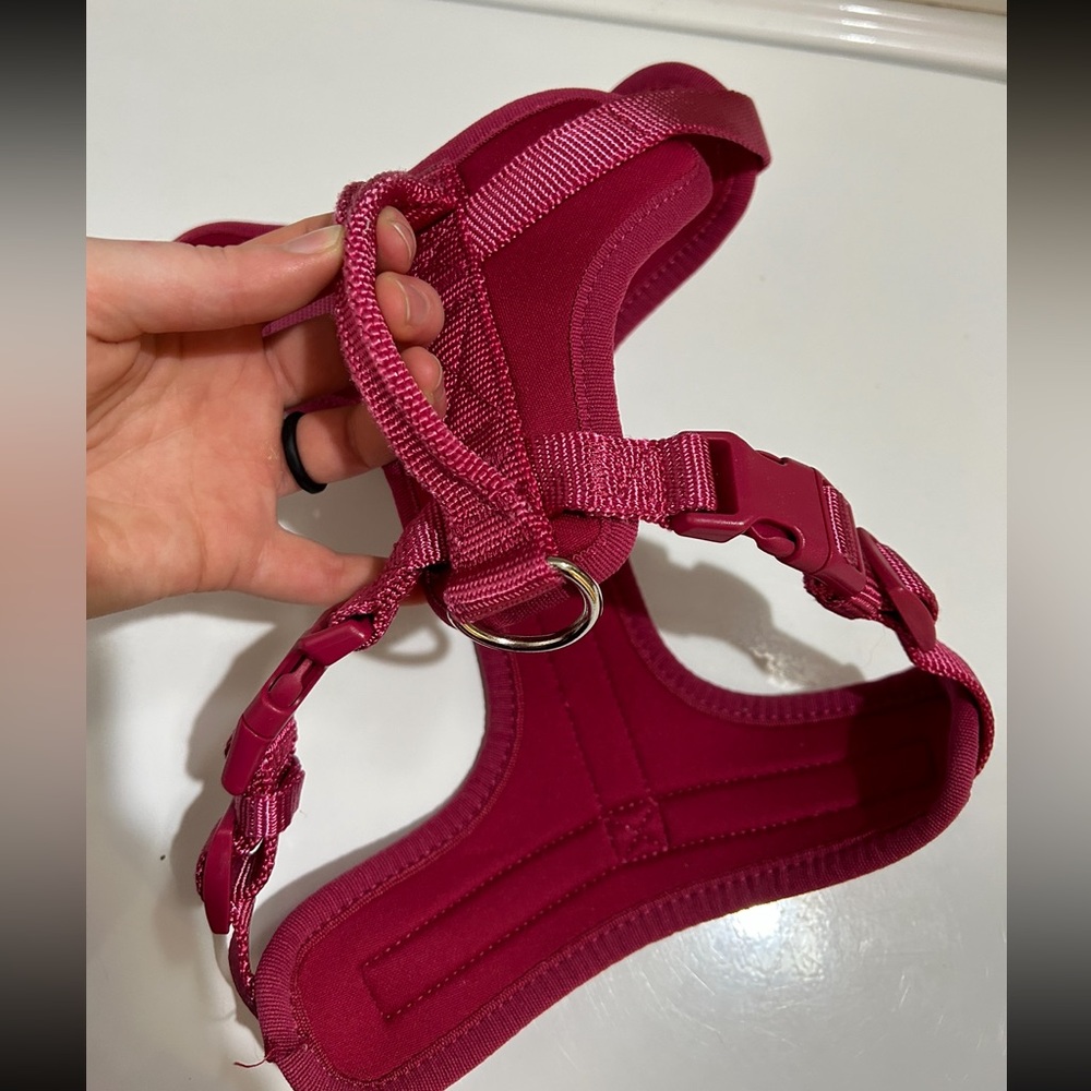 Dog Harness Neoprene - Picture 2 of 7